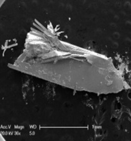 WTe<sub>2</sub><br>(1mm to 5mm)